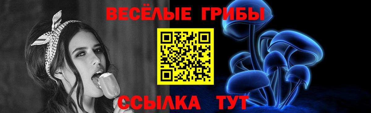 Псилоцибиновые грибы мицелий  Вход с VPN  Воронеж 